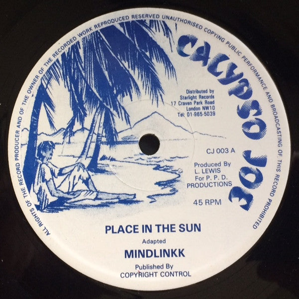 Mindlinkk : Place In The Sun (12", Single)