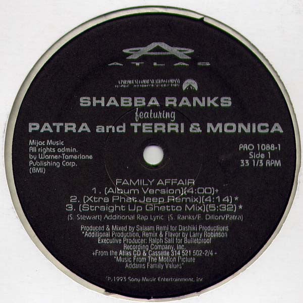 Shabba Ranks Featuring Patra And Terri & Monica : Family Affair (12", Promo)