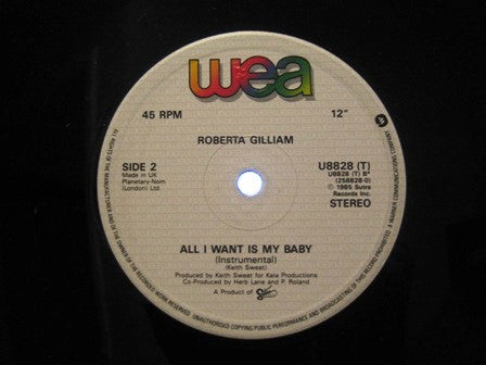 Roberta Gilliam : All I Want Is My Baby (12", Single)