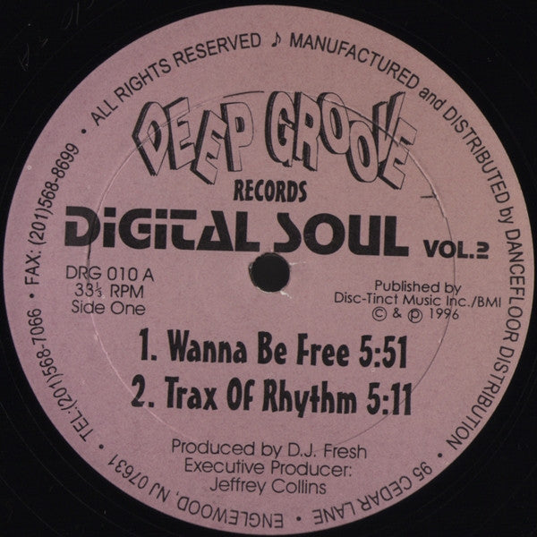 Digital Soul : Vol. 2 (12")