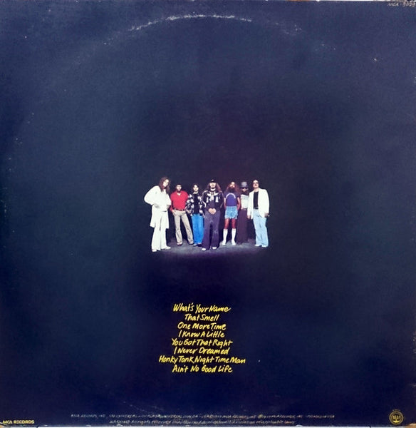 Lynyrd Skynyrd : Street Survivors (LP, Album)