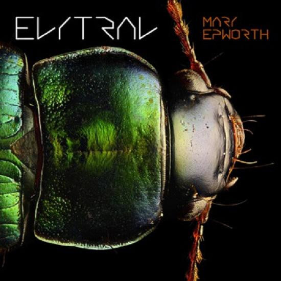 Mary Epworth : Elytral (LP, Album, Ltd, Ora)