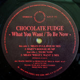 Chocolate Fudge : What You Want / To Be Now (12")
