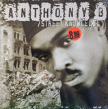 Anthony B : Street Knowledge (LP, Album)