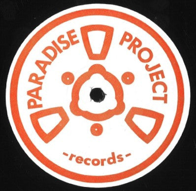 FPI Project : Everybody (All Over The World) (12")