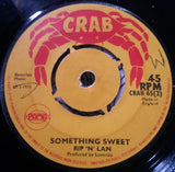 Rip 'N' Lan : In The Ghetto / Something Sweet (7", 4-P)