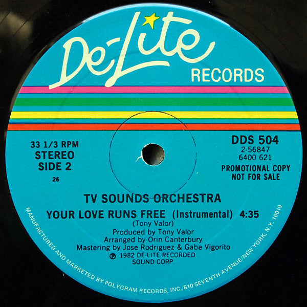 Sky's The Limit (2) / TV Sounds Orchestra* : Your Love Runs Free (12", Promo)