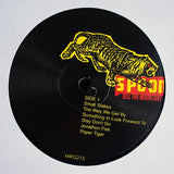 Spoon : Kill The Moonlight (LP, Album)