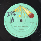 D. Duffus* : Is It Just A Dream / Cheater (12")
