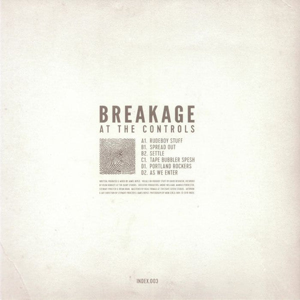 Breakage : At The Controls (2x12")