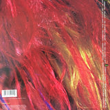 George Clinton : The Cinderella Theory (LP, Album)