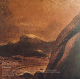 Convextion : R-CNVX1 (12")