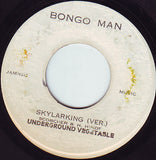 Horace Andy / Underground Vegetable* : Skylarking / Skylarking (Ver.) (7")
