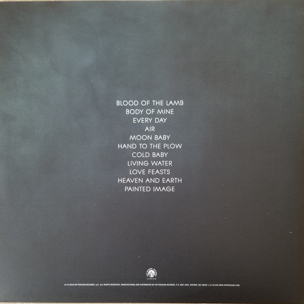 Liz Brasher : Painted Image (LP, Album)