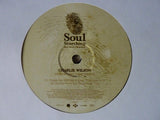 Various : Soul Searching - Real Music Unearthed (Volume 2) (2xLP, Comp, Ltd, Promo, Smplr)