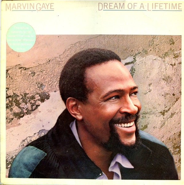 Marvin Gaye : Dream Of A Lifetime (LP, Album)