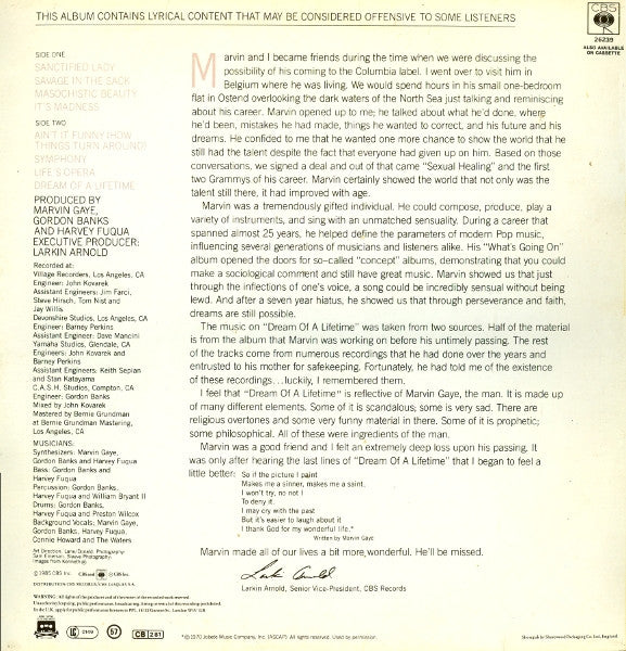 Marvin Gaye : Dream Of A Lifetime (LP, Album)