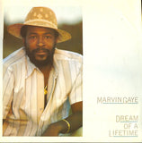 Marvin Gaye : Dream Of A Lifetime (LP, Album)