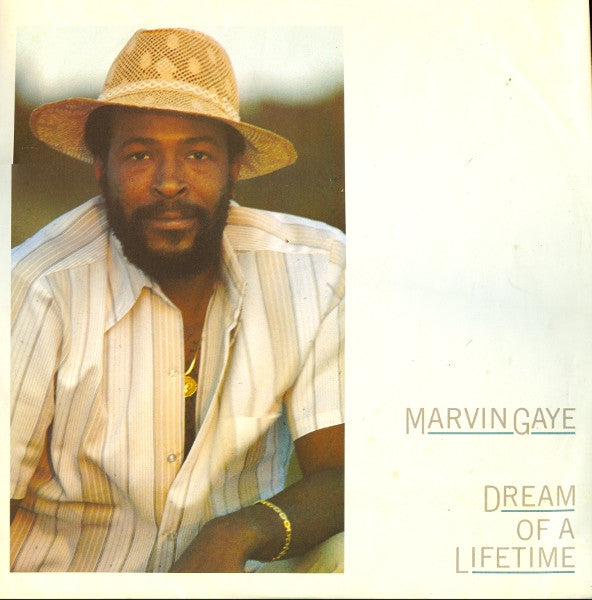 Marvin Gaye : Dream Of A Lifetime (LP, Album)