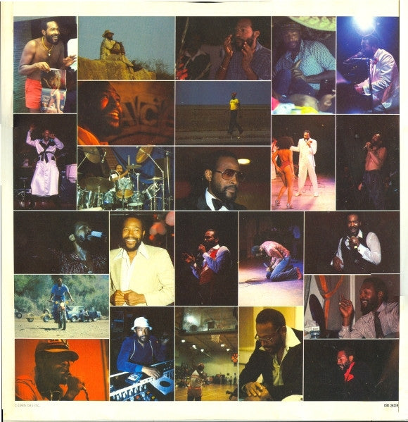 Marvin Gaye : Dream Of A Lifetime (LP, Album)