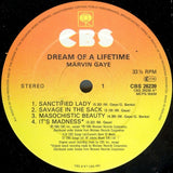 Marvin Gaye : Dream Of A Lifetime (LP, Album)