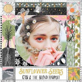 Casi and the Blind Harpist : Sunflower Seeds (10", EP)