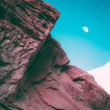 Bonobo : Linked  (12", S/Sided, 140)