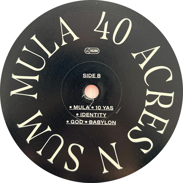 Juju Rogers : 40 Acres N Sum Mula (LP, Album)