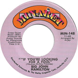 Big John Hamilton : If You're Looking For A Fool / Take This Hurt Off Of Me (7", Single)