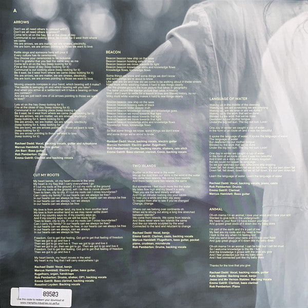 Rachael Dadd : Flux (LP, Album)