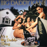 Big Daddy Kane : It's A Big Daddy Thing (LP, Album)