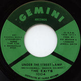 The Exits : Under The Street Lamp  (7")