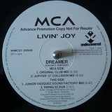 Livin' Joy : Dreamer (12", Promo)