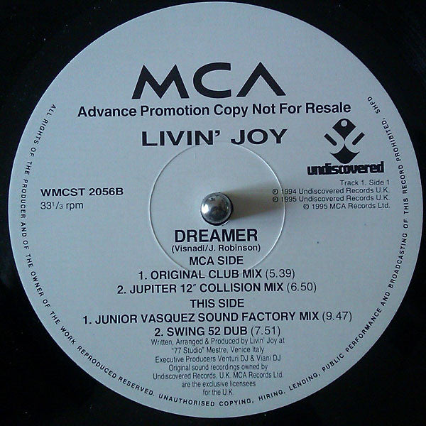 Livin' Joy : Dreamer (12", Promo)