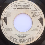 Jan Hammer Group : Don't You Know (7", Promo, Styrene)