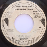 Jan Hammer Group : Don't You Know (7", Promo, Styrene)