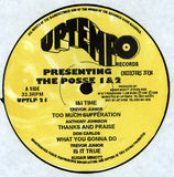 Various : The Posse Vol. 1/2 (2xLP, Comp)