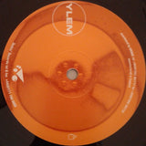 YLEM : All Paths Lead To Sol (12")