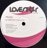 Wookie Ft. NY : Falling Again / Gallium (12")