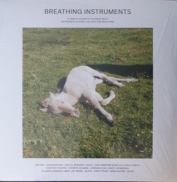 Various : Breathing Instruments (2xLP, Album)