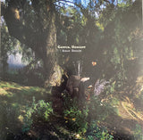 Sarah Davachi : Cantus, Descant (2xLP, Album, Ltd, Cle)