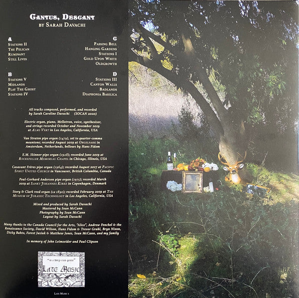 Sarah Davachi : Cantus, Descant (2xLP, Album, Ltd, Cle)