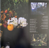 Sarah Davachi : Cantus, Descant (2xLP, Album, Ltd, Cle)