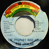 Rod Taylor : Prophet Rise Again (7", RE)