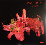 Various : Pop Ambient 2021 (LP, Comp)