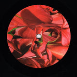Various : Pop Ambient 2021 (LP, Comp)