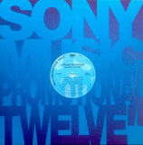Luther Vandross : Heaven Knows (12", Promo)