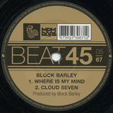 Block Barley Feat. Guilty Simpson : Michigan Nights (Remix) (7", Single)