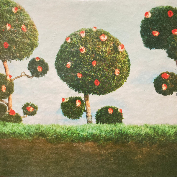 Midnight Sister : Painting The Roses (LP)