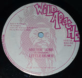 Junior Cat / Little Howie : Second Hand Don / Are You Sure (12")